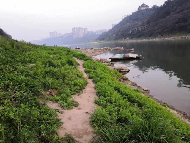 泸州自然江域已全面禁捕 非法捕捞者可追其刑责