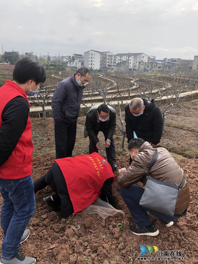 泸州市农业农村局到泸县督查农药包装废弃物押金回收和草地贪夜蛾防控工作(图2)