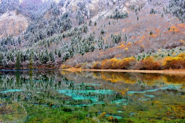 为有源头活水来——四川藏区筑牢生态安全屏障(图5)