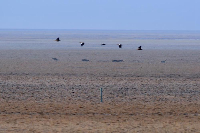 为有源头活水来——四川藏区筑牢生态安全屏障(图8)