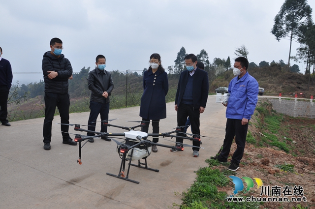 四川省电视台等主流媒体到泸县采访春耕生产(图3)