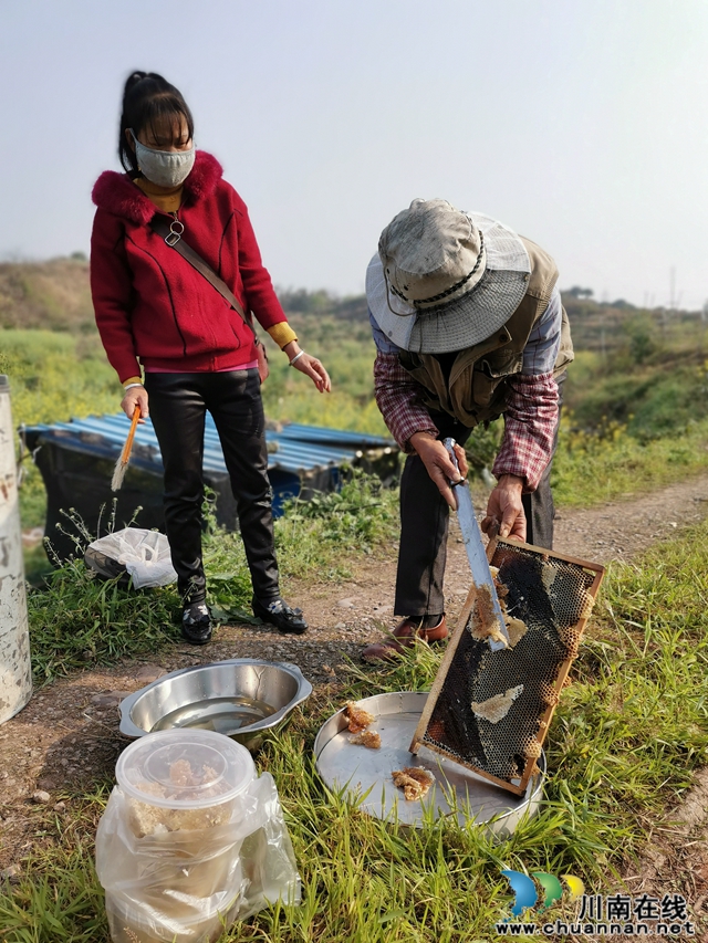 现采现卖 泸县利源家庭农场的蜂蜜受追捧！(图7)