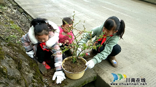 叙永县石厢子中心校:红领巾“疫”起行动，“家庭版”植树活动精彩纷呈(图1)