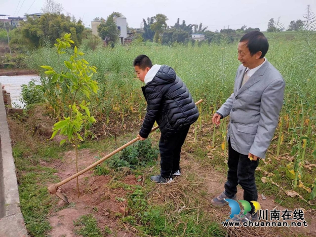 泸县玉蟾街道城北小学校开展2020年春季植树节活动(图1)