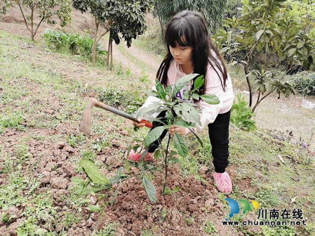 泸县玉蟾街道城北小学校开展2020年春季植树节活动(图3)