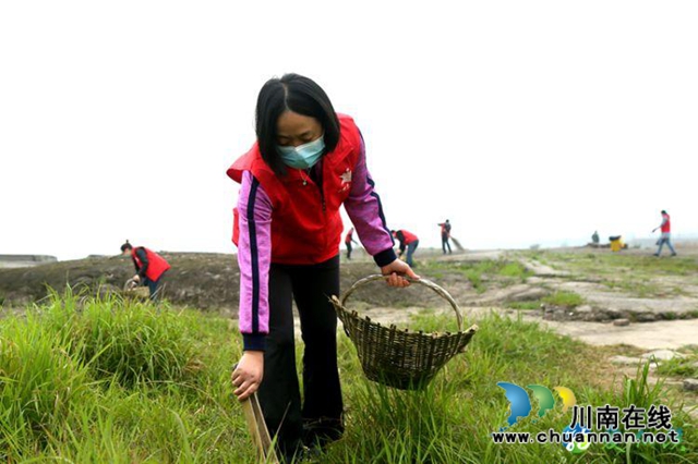 纳溪区万名党员干部职工为家园“清肺”(图2)