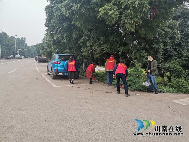 江阳区茜草街道桂圆林社区进行周末大扫除活动(图1)