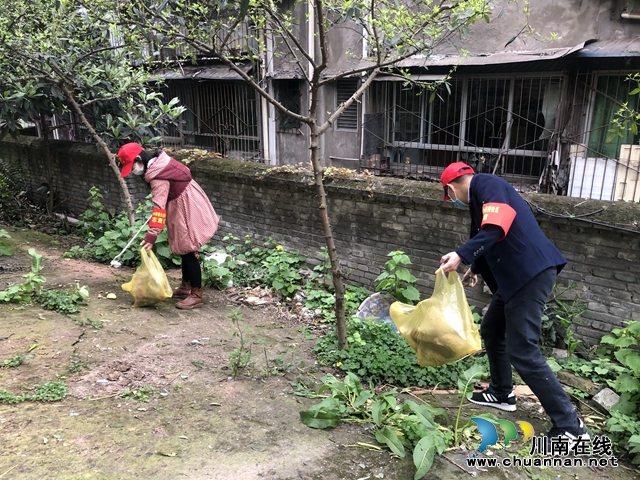 龙马潭区小市街道：“抗疫情、当先锋”志愿服务活动(图2)