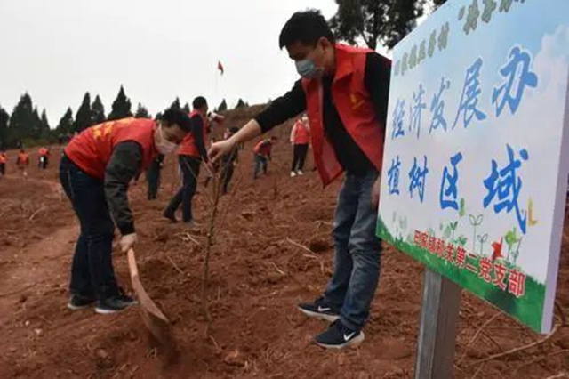 目标定了！今年，内江市人均两人义务栽一棵树(图4)