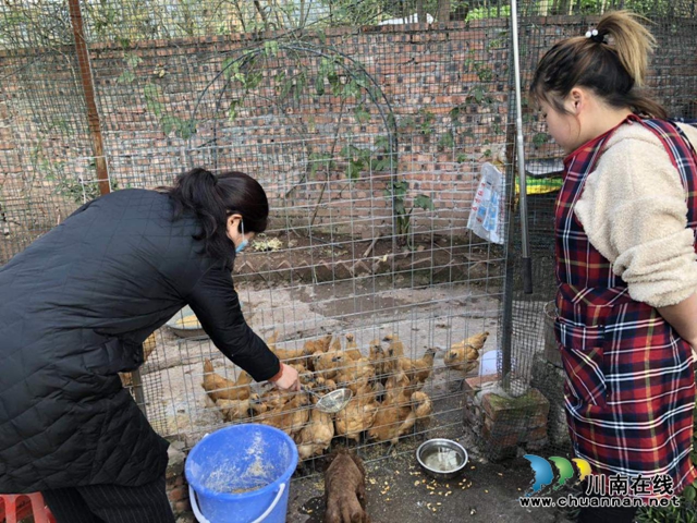 泸县玉蟾街道开展脱贫攻坚大走访活动(图5)