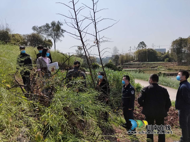 泸县禁毒委第一督查组到立石镇督查禁种铲毒工作(图2)