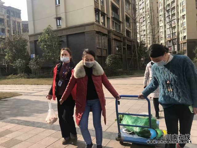 泸县玉蟾街道朝阳社区党委书记陈霞的防疫故事(图5)