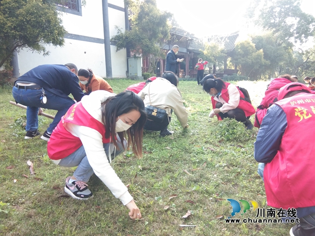 江阳区茜草街道开展义务植树活动，为江阳生态文明建设再添一份新绿(图2)