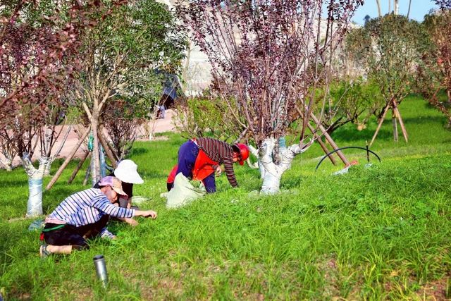 占地约66450平方米!内江这个重点项目预计今年12月完工(图8) 占地约66450平方米!内江这个重点项目预计今年12月完工(图8)