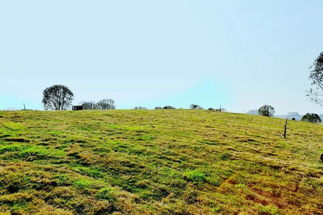 占地约66450平方米!内江这个重点项目预计今年12月完工(图10) 占地约66450平方米!内江这个重点项目预计今年12月完工(图10)