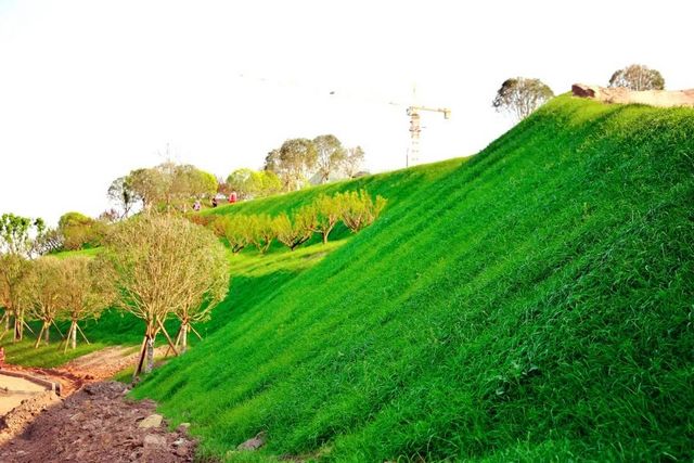 占地约66450平方米!内江这个重点项目预计今年12月完工(图11) 占地约66450平方米!内江这个重点项目预计今年12月完工(图11)