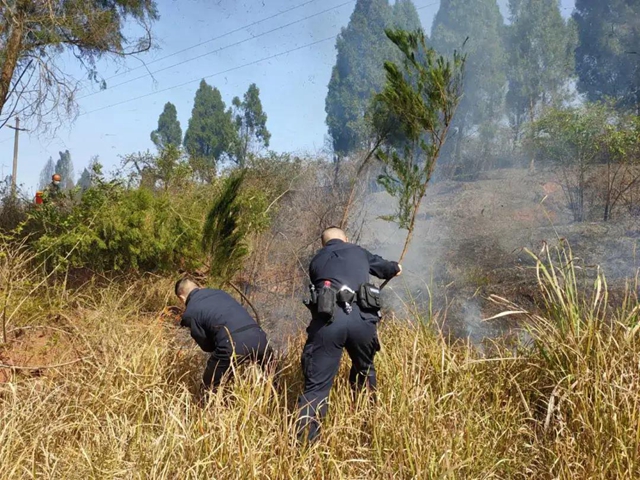 气温急升！一天内两场山火，为内江防火拉响警报！(图2)