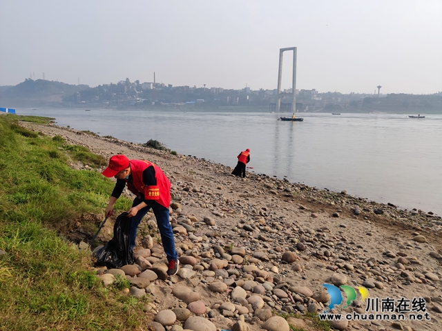 江阳区茜草街道桂圆林社区：清除河滩垃圾  共护一江绿水