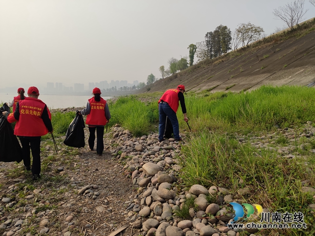 江阳区茜草街道桂圆林社区：清除河滩垃圾  共护一江绿水(图2)