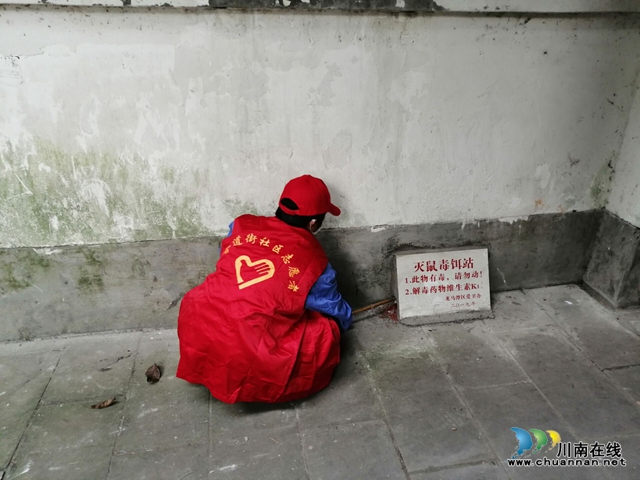 龙马潭区小市街道开展集中投放鼠药工作