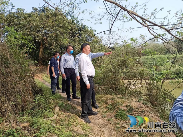 杨双全率队泸县督查小鹿溪河河长制工作