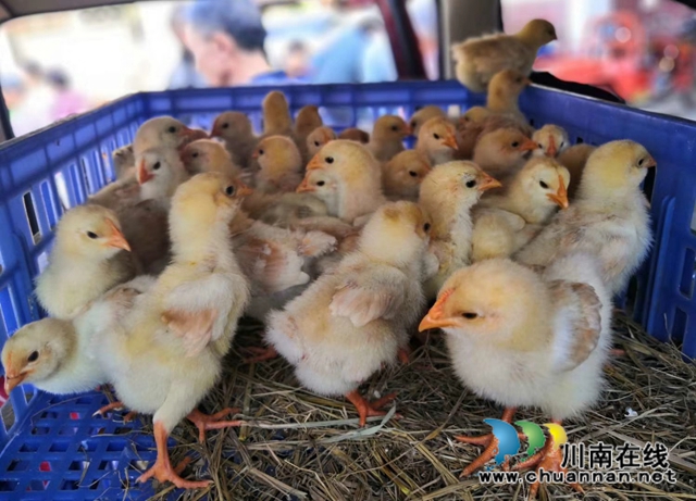 宜宾市南溪区司法局：“战贫”不停步！(图3)