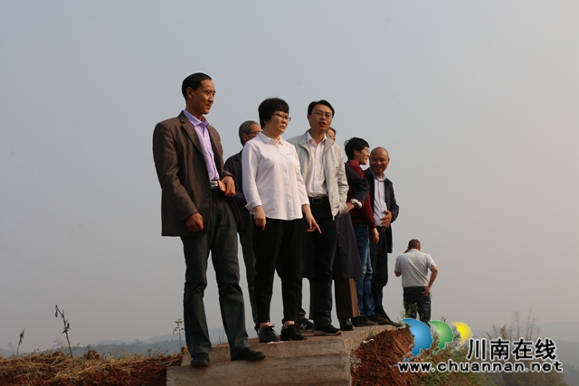 陈佳到泸县潮河镇督导脱贫攻坚工作(图2)