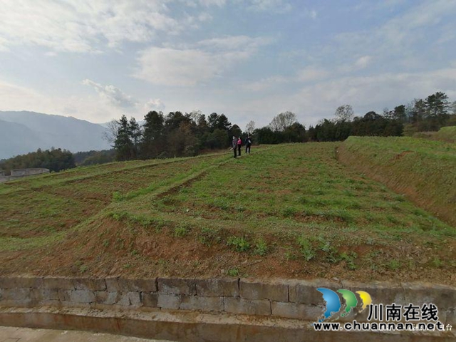 合江县先滩镇阳关村怎么发展？他们来支招