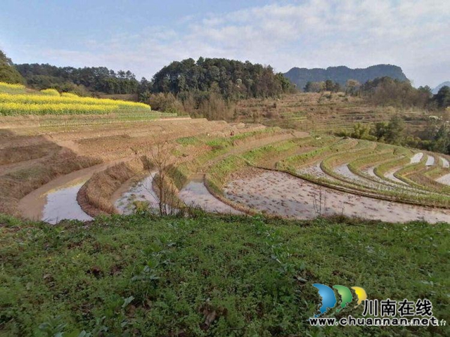 合江县先滩镇阳关村怎么发展?他们来支招(图5) 合江县先滩镇阳关村怎么发展?他们来支招(图5)