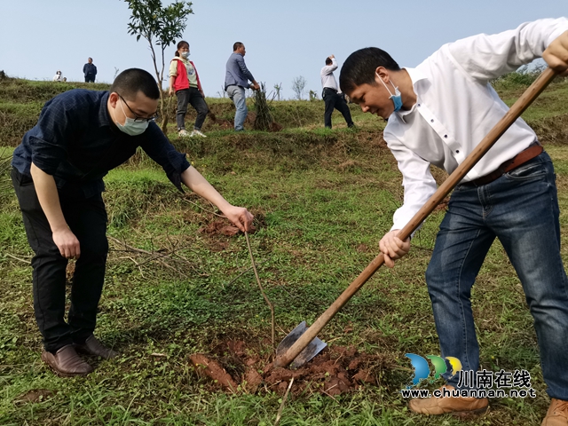 江阳区残联:持续开展“新一轮绿化泸州”植树节活动(图2) 江阳区残联:持续开展“新一轮绿化泸州”植树节活动(图2)