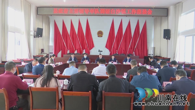 胥兴贵调研合江县白沙镇工作