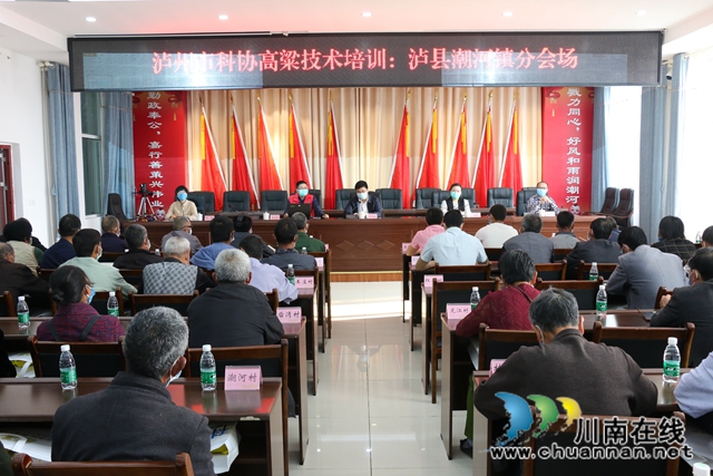 泸州市科协到泸县潮河镇开展高粱种植技术培训