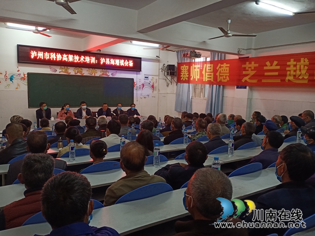 泸州市科协到泸县海潮镇开展高粱技术培训(图2) 泸州市科协到泸县海潮镇开展高粱技术培训(图2)