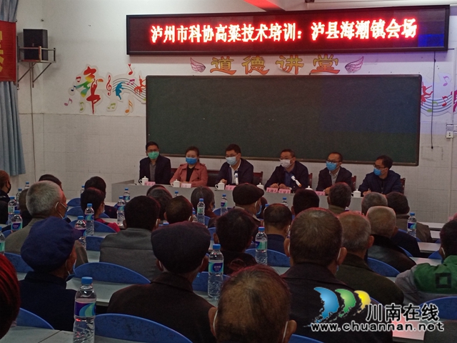 泸州市科协到泸县海潮镇开展高粱技术培训