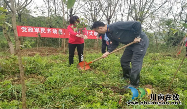 江阳区泰安街道：人大代表植树忙