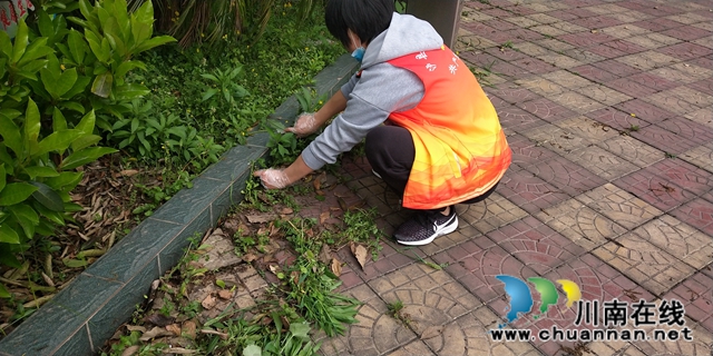 泸县得胜小学党支部开展“我爱我校 党员先行”卫生大扫除活动(图4) 泸县得胜小学党支部开展“我爱我校 党员先行”卫生大扫除活动(图4)