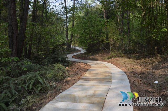 泸县太伏镇：修好门前路  打通致富路