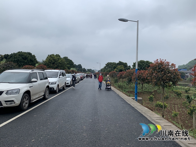 龙马潭区特兴街道桐兴村“三举措” 谱写人居环境整治新篇(图2)