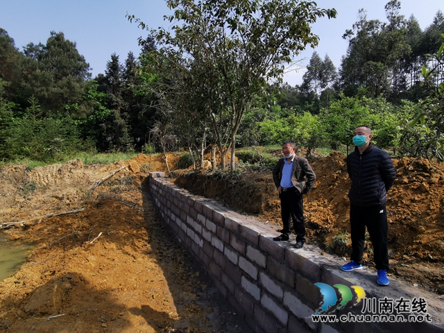 泸县玉蟾街道开展森林防灭火安全巡查工作(图2)