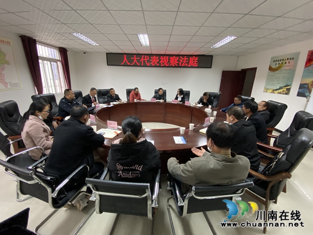 纳溪法院：人大代表进法庭 诉源治理话新篇