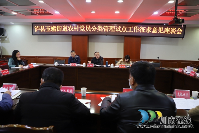 泸县玉蟾街道召开农村党员分类管理试点工作专题会