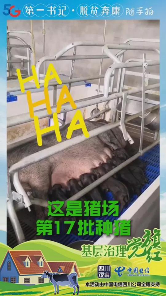 火了！内江出了位“猪肉西施”(图3)