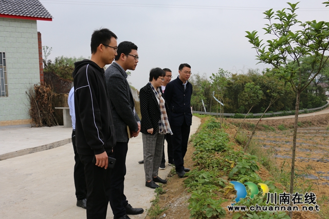 陈佳到泸县潮河镇督导脱贫攻坚工作(图3)