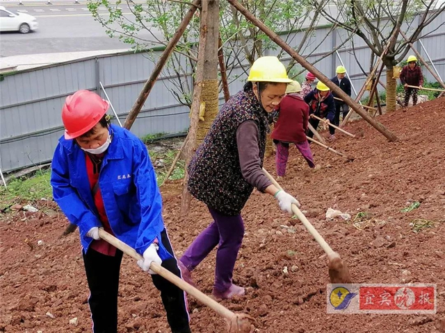 宜宾这个超大森林公园下月完工！风景独特功能丰富，有望成为长江封面