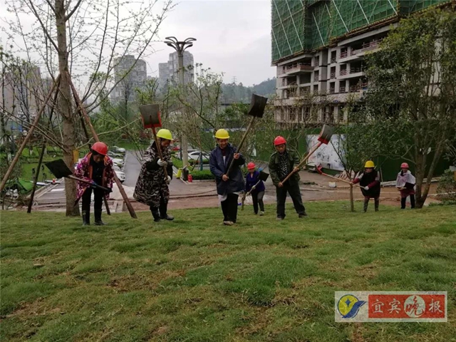 宜宾这个超大森林公园下月完工！风景独特功能丰富，有望成为长江封面(图3)