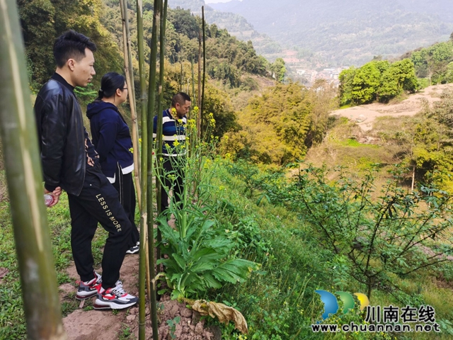 合江县先滩镇：脱贫攻坚，人大代表在行动