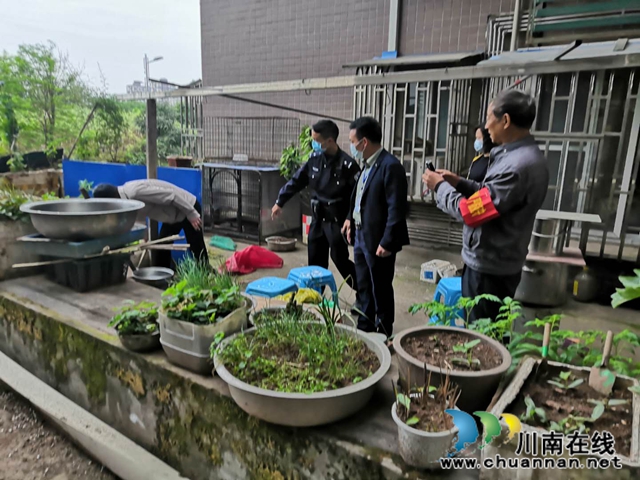 江阳区茜草街道多措并举开展禁种铲毒工作见成效