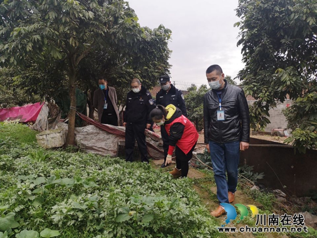 江阳区茜草街道多措并举开展禁种铲毒工作见成效(图2)