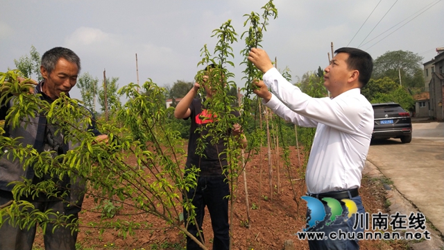 泸县：扶贫扶志 产业发展见成效
