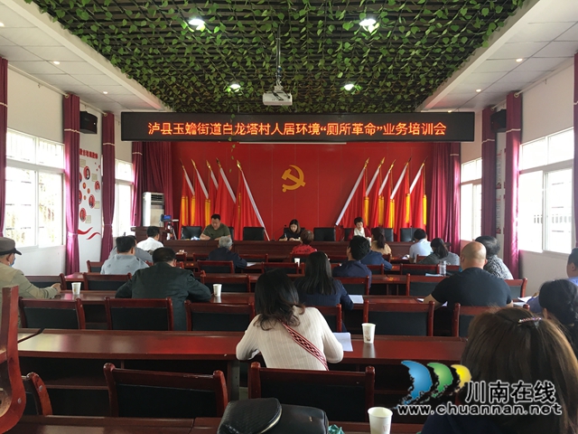 泸县玉蟾街道开展人居环境整治“厕所革命”推进会